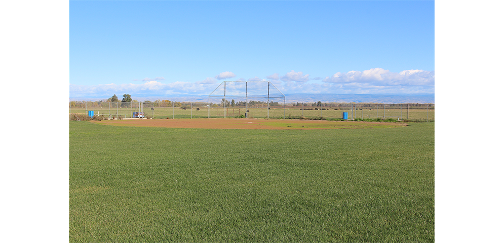 Baseball Field